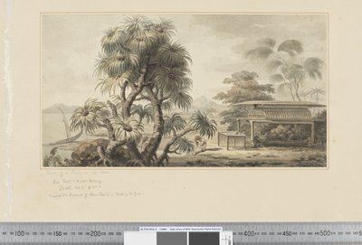 F.46 View of a Tomb on Sea Shore, ca. 1783-84 (akvarell) av John Webber