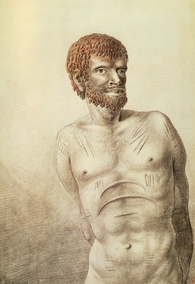 Innfødt av Van Diemens Land, nå Tasmania, januar 1777, tegning av John Webber (1750-1793) Australia av John Webber