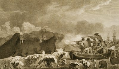 Sea Horses, figurer av J. Heath, gravert av E. Scott plate 52 fra 
