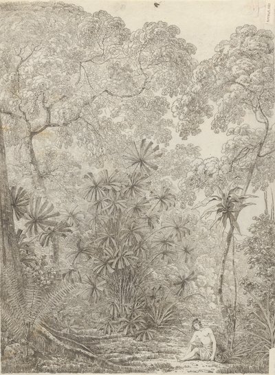 Fan Palm of Cracatoa av John Webber