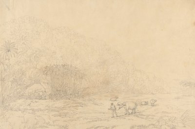 Utsikt på øya Pulo Condore av John Webber