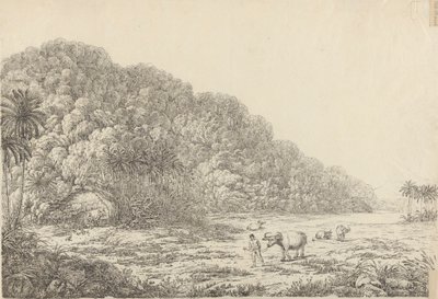 Utsikt på øya Pulo Condore av John Webber