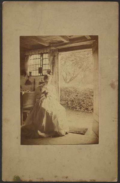  av John Whistler