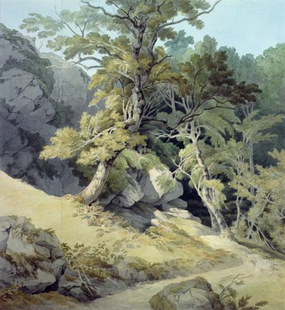 Canonteign, Devon av John White Abbott