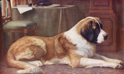  av John William Allison