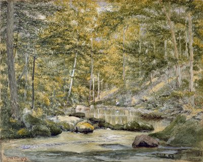 Woodland Pool with Men Fishing, 1870 (wc på papir) av John William Hill