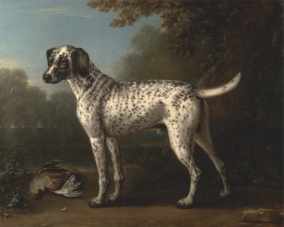 En gråflekket hund av John Wootton