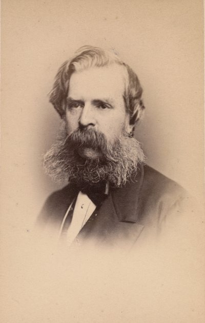 Alexander Johnston, 1860-årene. av John and Charles Watkins