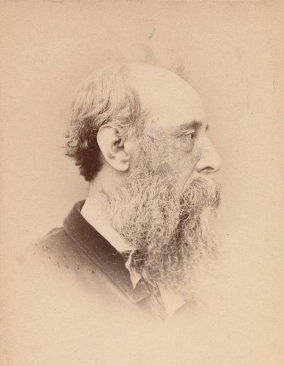 [George Frederick Watts], 1860-tallet. av John and Charles Watkins