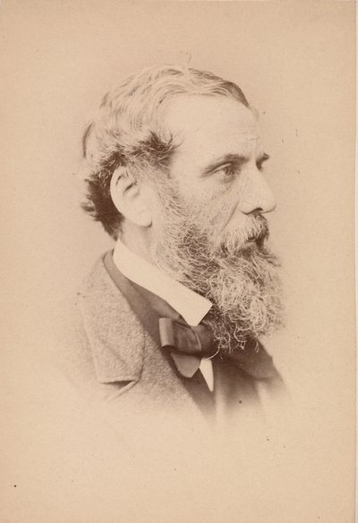 Richard Ansdell, 1860-tallet. av John and Charles Watkins