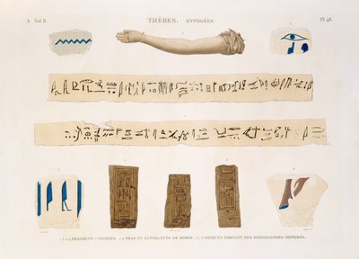Illustrasjoner av hieroglyfer og armen til en mumie fra Hypogees, Theben, plate 48 fra Vol II av `Descriptions of Egypt`, gravert av Charles, 1822 (akvatint) av Jomard