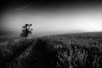 Goodwood Estate i West Sussex, Storbritannia, 2019 (bilde) av Jon Nicholson