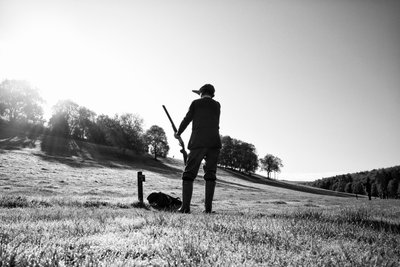 Goodwood Estate i West Sussex, Storbritannia, 2019 (bilde) av Jon Nicholson