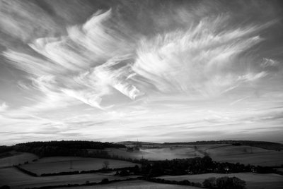 Goodwood Estate i West Sussex, Storbritannia, 2019 (bilde) av Jon Nicholson