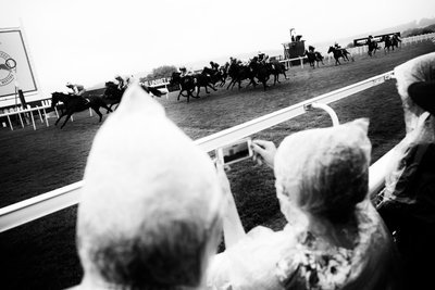 Goodwood Estate i West Sussex, Storbritannia, 2019 (bilde) av Jon Nicholson