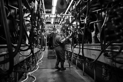 Goodwood Estate i West Sussex, Storbritannia, 2019 (bilde) av Jon Nicholson