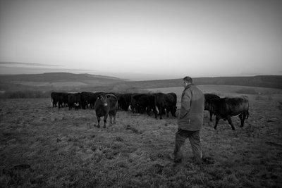 Goodwood Estate i West Sussex, Storbritannia, 2019 (bilde) av Jon Nicholson