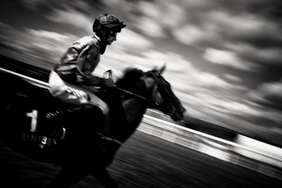 Goodwood Estate i West Sussex, Storbritannia, 2020 (bilde) av Jon Nicholson