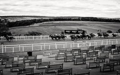 Goodwood Estate i West Sussex, Storbritannia, 2020 (bilde) av Jon Nicholson