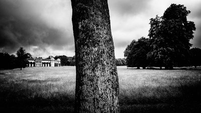 Goodwood Estate i West Sussex, Storbritannia, 2020 (bilde) av Jon Nicholson