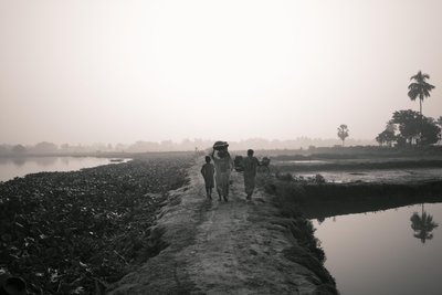 Våtmarksfiske i Kolkata, 2016 (bilde) av Jon Nicholson