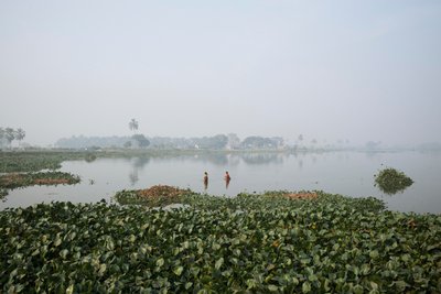 Våtmarksfiske i Kolkata, 2016 (bilde) av Jon Nicholson
