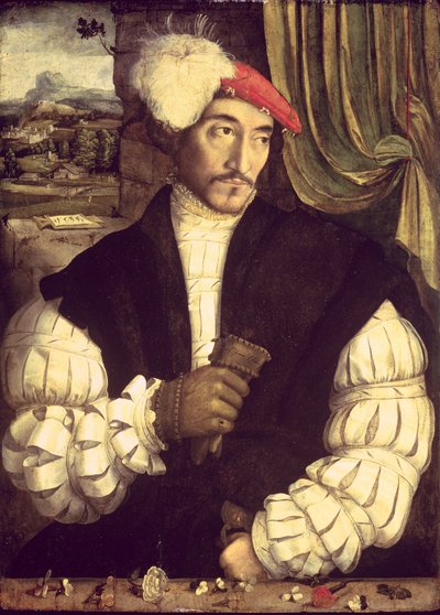 Portrett av en mann, 1533 av Jorg I Breu