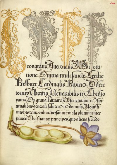  av Joris Hoefnagel
