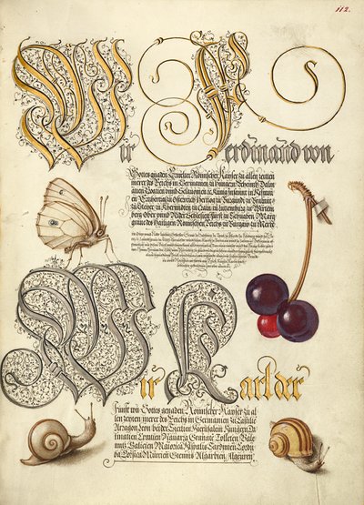  av Joris Hoefnagel