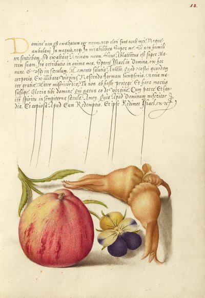  av Joris Hoefnagel