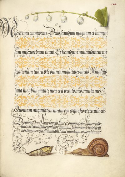  av Joris Hoefnagel
