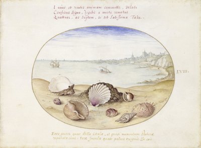  av Joris Hoefnagel
