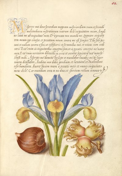  av Joris Hoefnagel