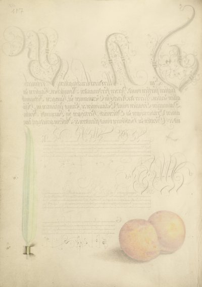  av Joris Hoefnagel