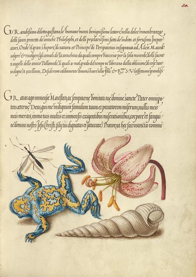  av Joris Hoefnagel