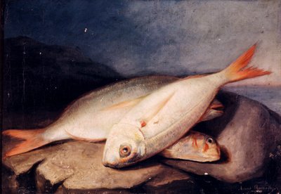 Stilleben av fisk av José Arias Ramírez