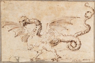 Studie av en drage, 1620-tallet. av José Ribera de