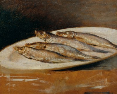 ansjos av Josef Navrátil