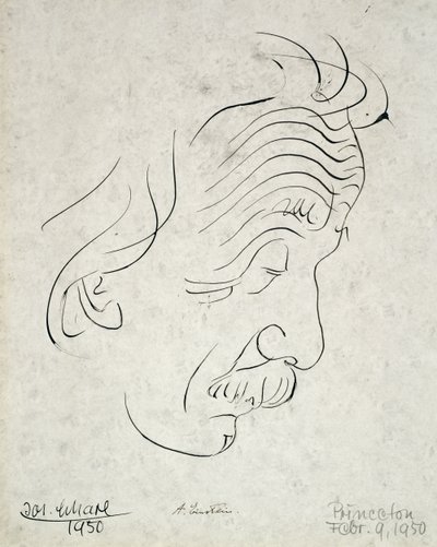  av Josef Scharl