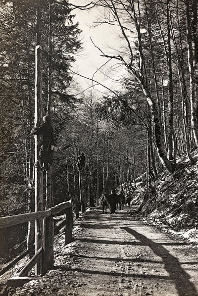 Album "Min verdenskrig - minner fra den sørvestlige fronten i Kärnten, Italia, Trentino-Alto Adige) 31/03/1915-12/11/ 1918 - Josef Zohles Vienna ": soldater på jobb (s/hv-foto av Josef Zohles