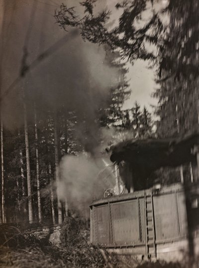 Album "Min verdenskrig - minner fra den sørvestlige fronten i Kärnten, Italia, Trentino-Alto Adige) 31/03/1915-12/11/ 1918 - Josef Zohles Vienna ": en morter Morser i aksjon ( av Josef Zohles