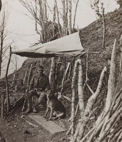 Album "Min verdenskrig - minner fra den sørvestlige fronten i Kärnten, Italia, Trentino-Alto Adige) 31/03/1915-12/11/ 1918 - Josef Zohles Vienna ": militærhund under et telt ( av Josef Zohles