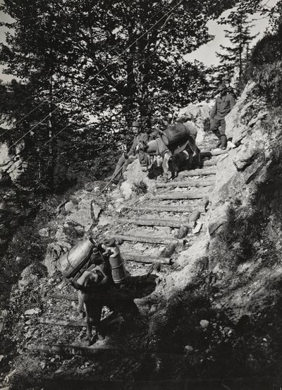 Album "Min verdenskrig - minner fra den sørvestlige fronten i Kärnten, Italia, Trentino-Alto Adige) 31/03/1915-12/11/ 1918 - Josef Zohles Wien ": Hærens muldyr langs en bratt de av Josef Zohles