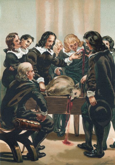 William Harvey demonstrerer sirkulasjonen av blodet av Josep or Jose Planella Coromina