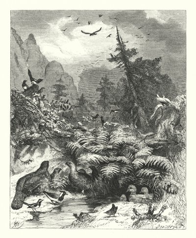 Søk etter Gud (gravering) av Joseph (after) Wolf