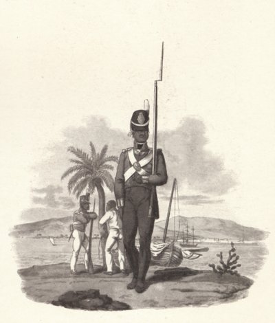 En menig fra det 5. vestindiske regiment, c1812 1909 av Joseph Constantine Stadler