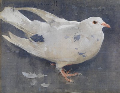 The Pigeon (gouache på lin) av Joseph Crawhall