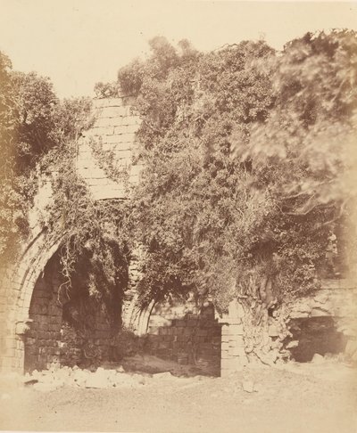 Kirkstall Abbey. Ruiner på sørsiden, 1850-tallet. av Joseph Cundall
