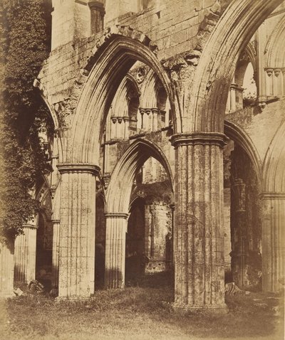 Rievaulx Abbey. Ser over koret, 1850-tallet. av Joseph Cundall