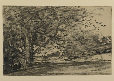 Study of Trees, 1870 (grafitt på papir) av Joseph Frank Currier